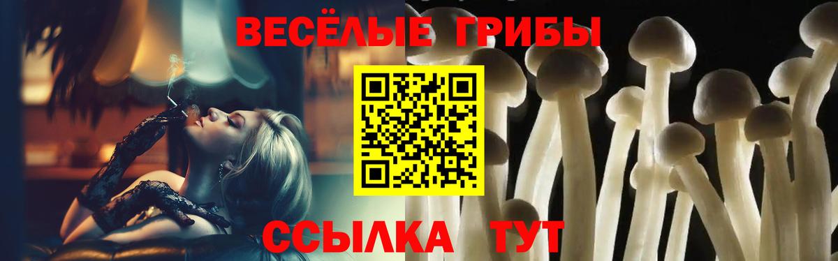 как найти наркотики  Псилоцибиновые грибы мухоморы  Вход с VPN  Белгород 
